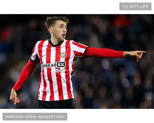 英超裁判争议：桑德兰升班马1分遭遇冤案，英超 桑德兰